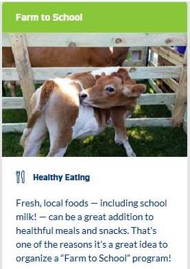 healthy 